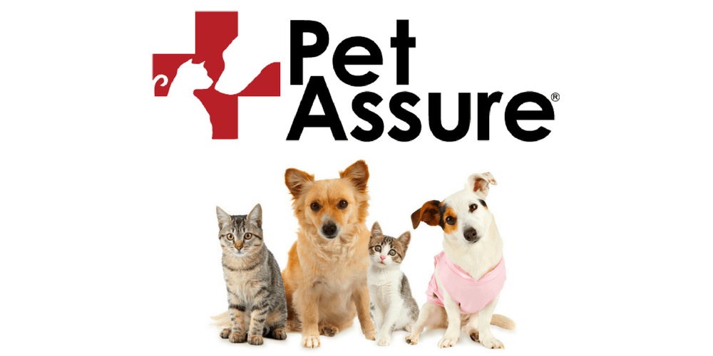 Pet Assure Pet Insurance - gifts for dog owners - best gift ideas for dog owners - dog gifts - best gift listings - bestgiftlistings
