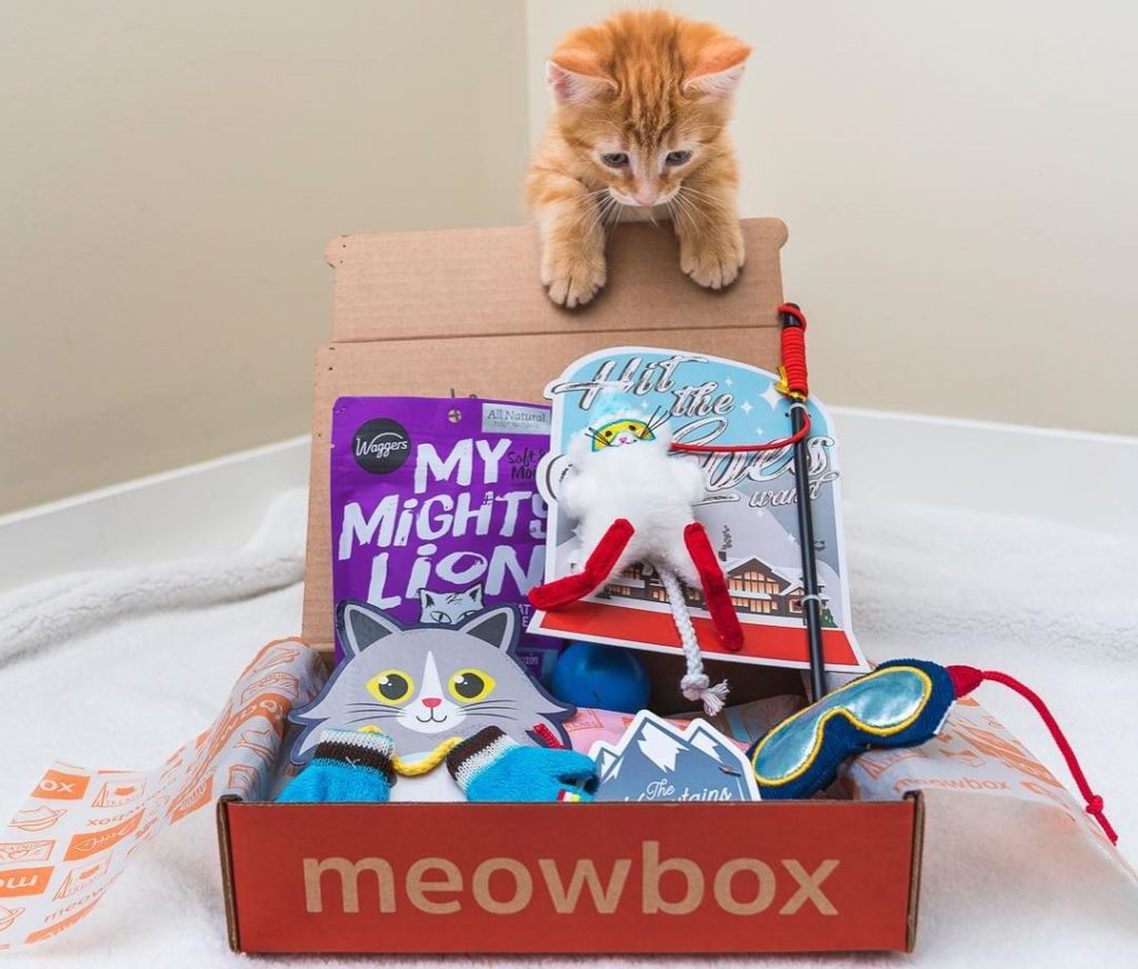 gifts for cat owners - best gift listings - meowbox