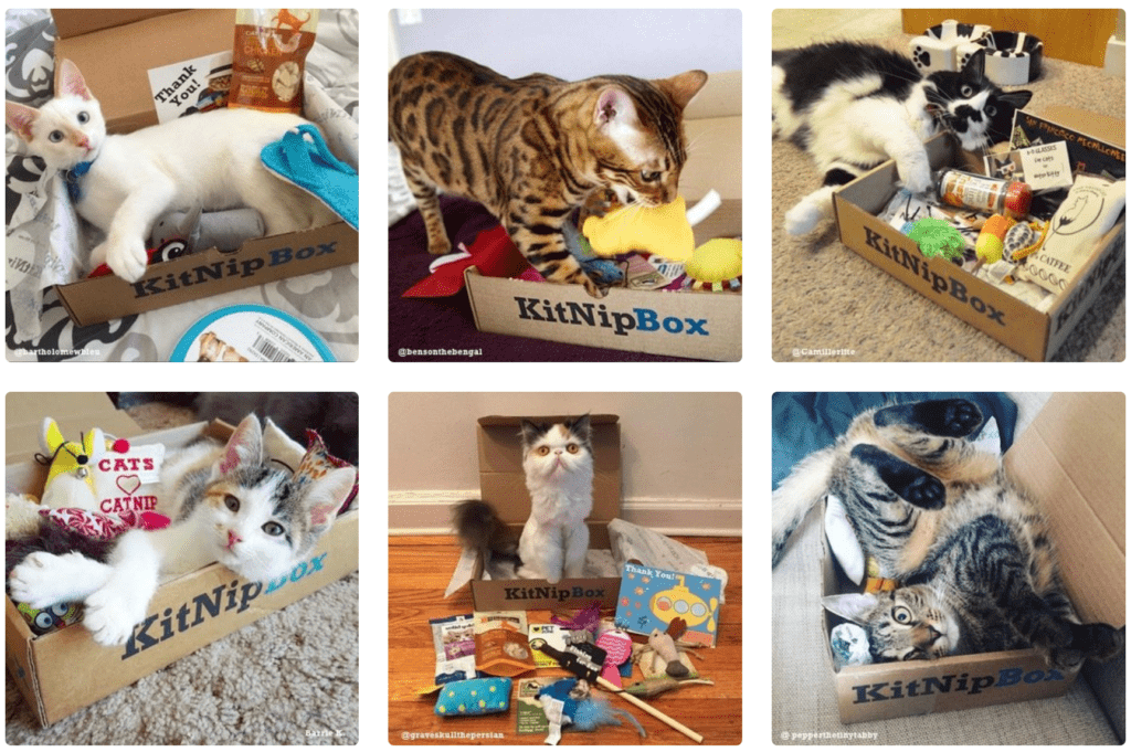 gifts for cat owners - best gift listings - kitnipbox