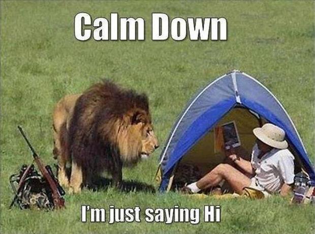 gifts for campers - best gift listings - calm down i'm just saying hi